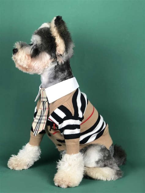 burberry vest for dogs|Burberry vests for men.